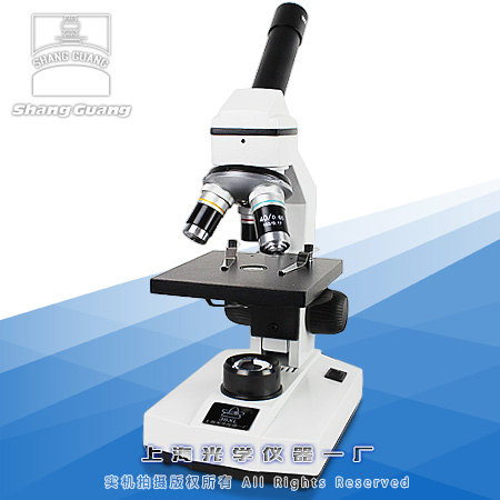 �W(xu��)���@΢�R36XL
